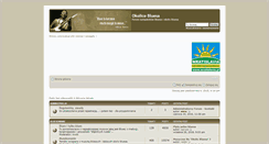 Desktop Screenshot of blues.com.pl